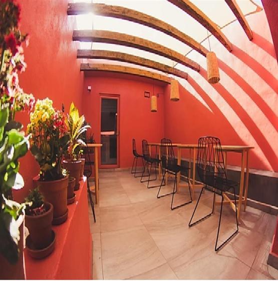 Lu De Anda Hotel Boutique San Luis Potosí Eksteriør bilde